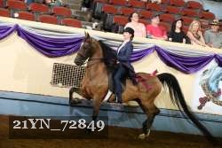 21YN_72849 thumbnail