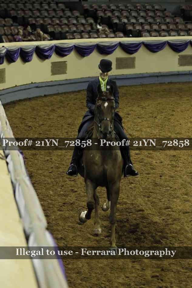 Proof Number 21YN_72858