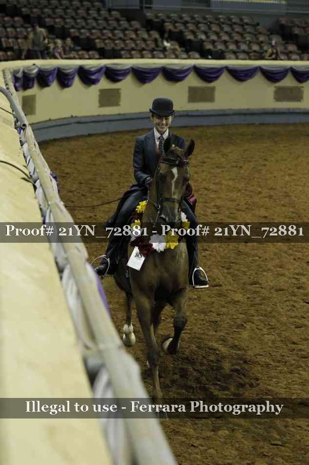 Proof Number 21YN_72881
