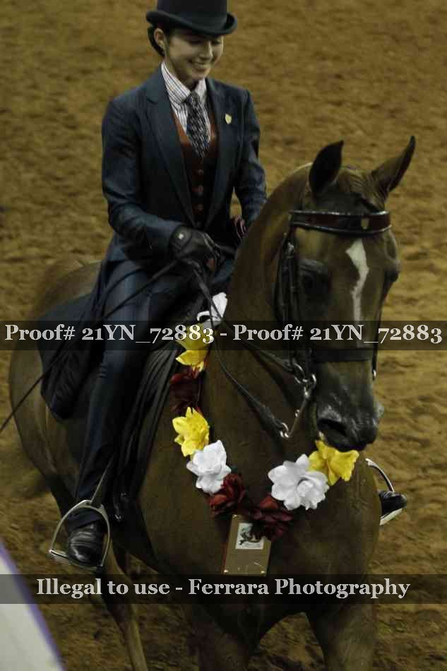 Proof Number 21YN_72883