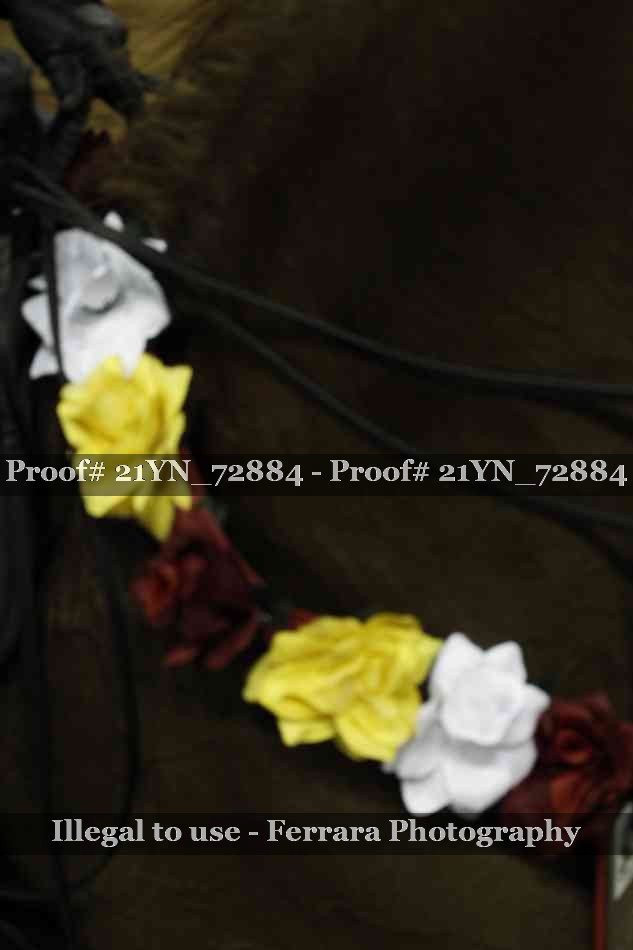 Proof Number 21YN_72884