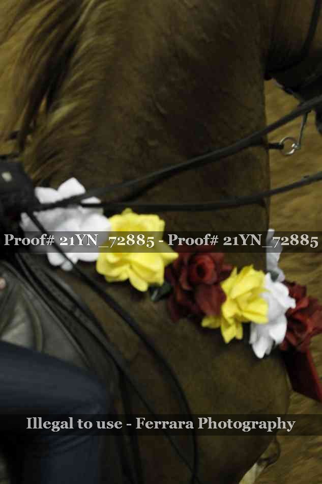 Proof Number 21YN_72885
