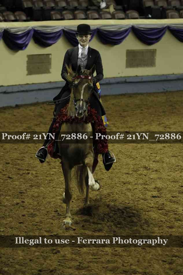 Proof Number 21YN_72886