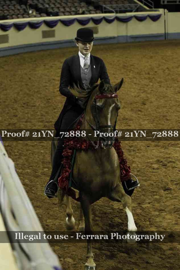 Proof Number 21YN_72888