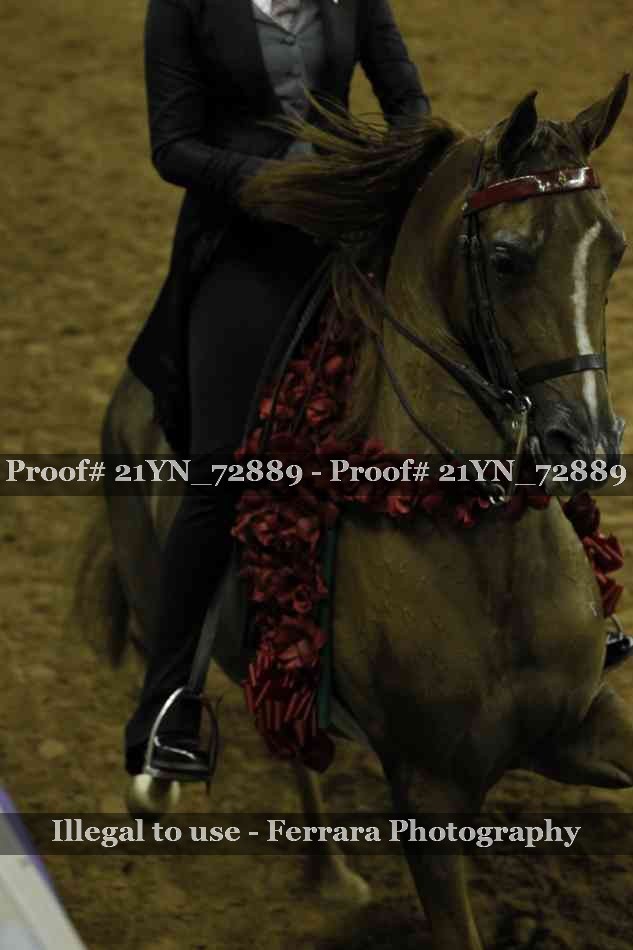 Proof Number 21YN_72889