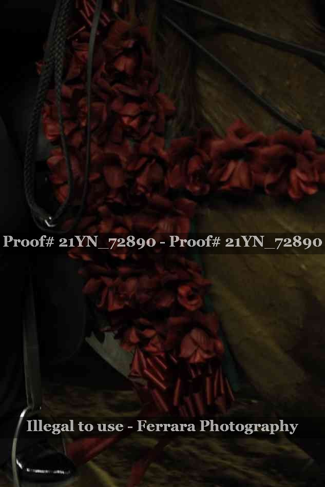 Proof Number 21YN_72890