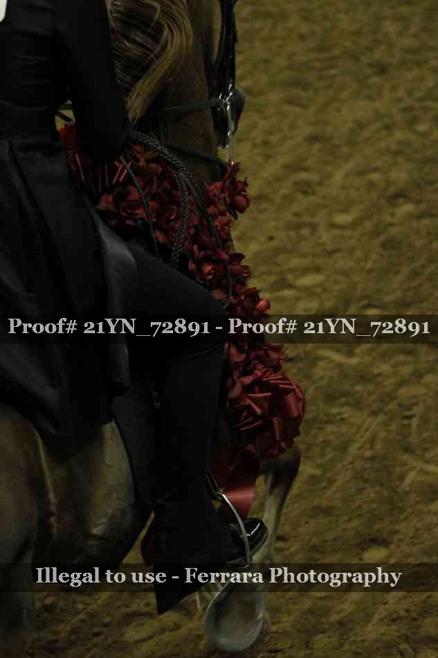 Proof Number 21YN_72891