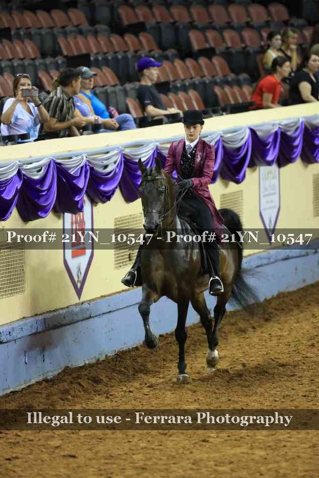 Proof Number 21YN_10547