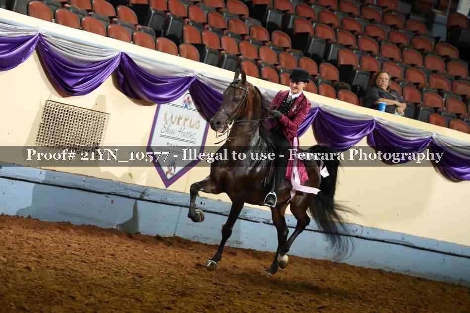 Proof Number 21YN_10577