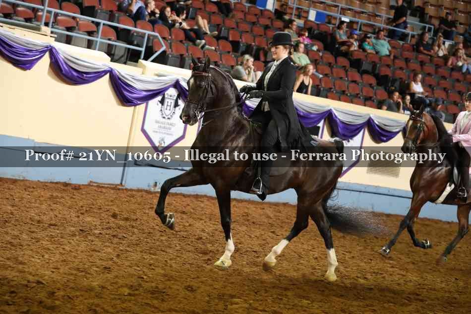 Proof Number 21YN_10605