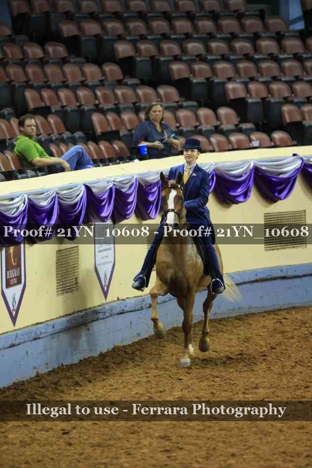 Proof Number 21YN_10608