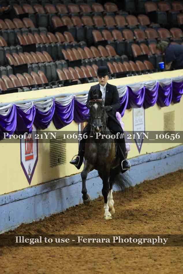 Proof Number 21YN_10656