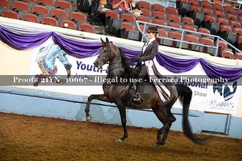 Proof Number 21YN_10667