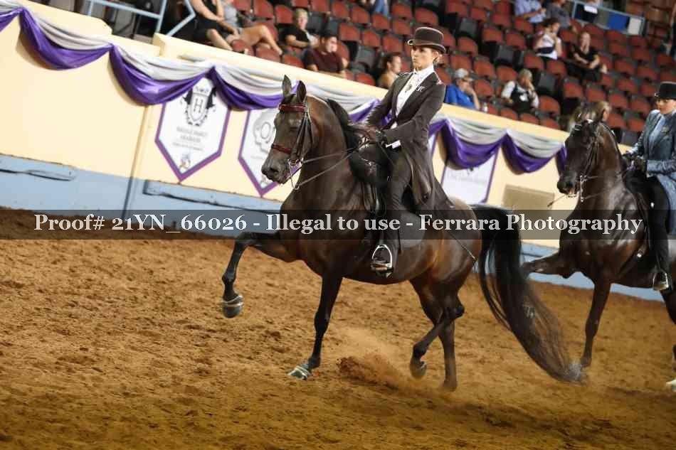 Proof Number 21YN_66026