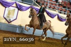21YN_66036 thumbnail