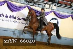 21YN_66040 thumbnail