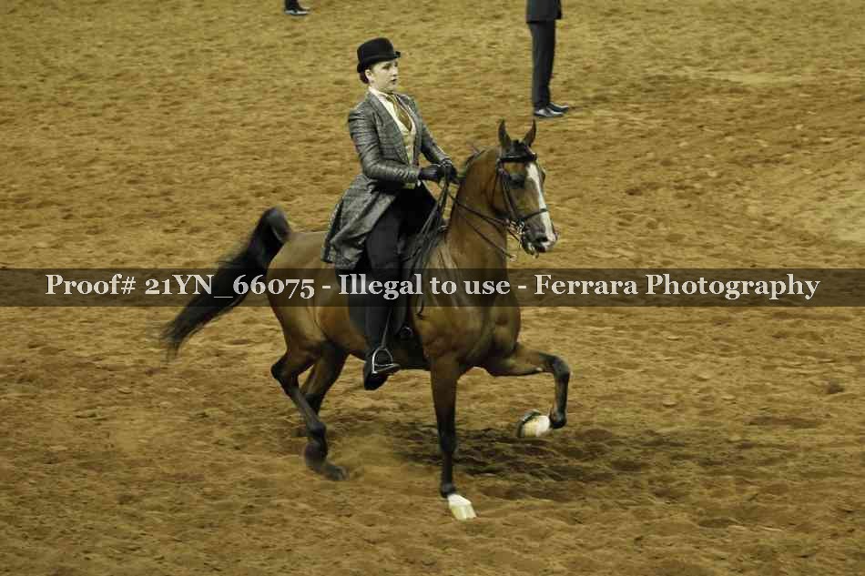 Proof Number 21YN_66075