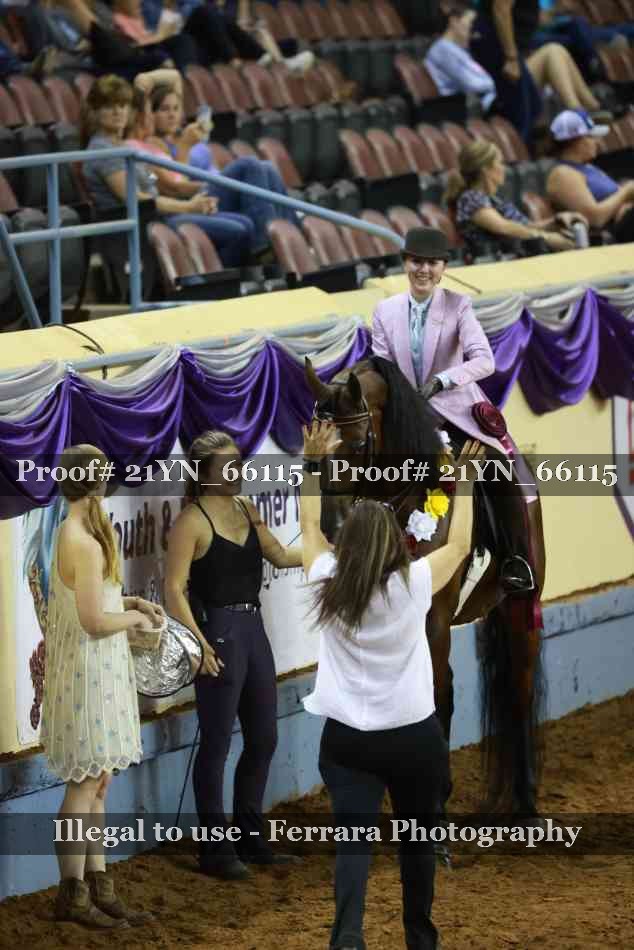 Proof Number 21YN_66115