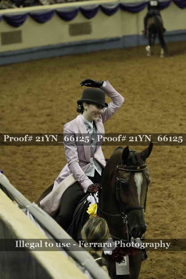 Proof Number 21YN_66125