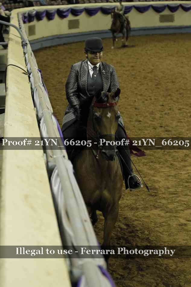 Proof Number 21YN_66205