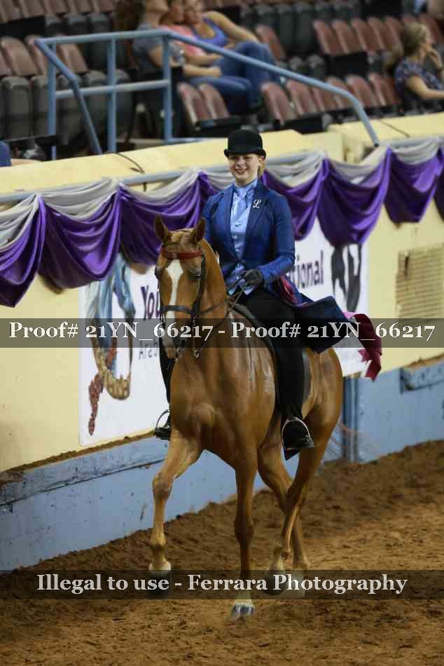 Proof Number 21YN_66217