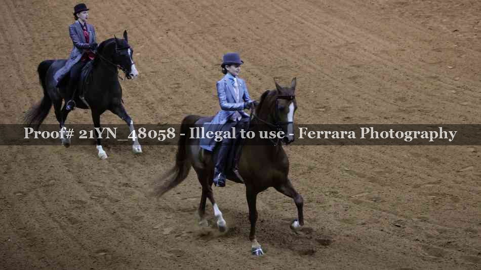 Proof Number 21YN_48058