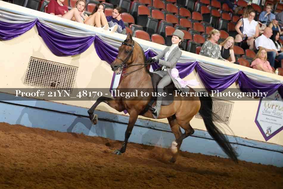 Proof Number 21YN_48170