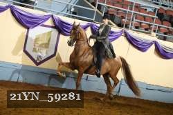 21YN_59281 thumbnail