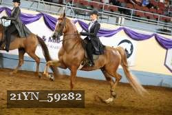 21YN_59282 thumbnail