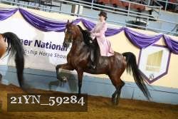 21YN_59284 thumbnail