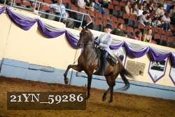 21YN_59286 thumbnail