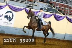 21YN_59288 thumbnail