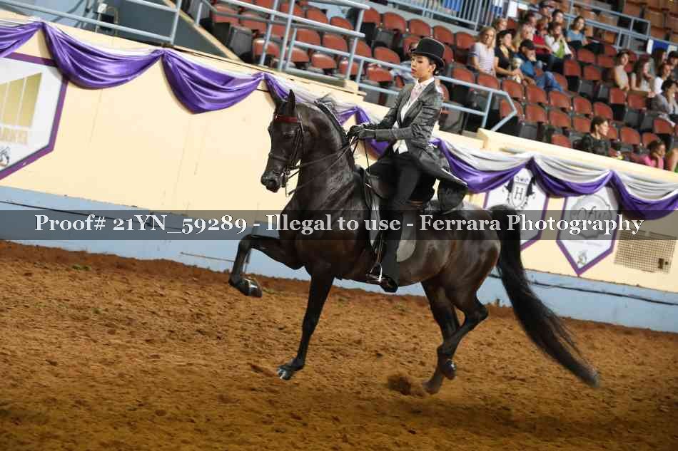 Proof Number 21YN_59289