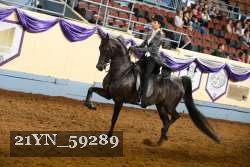 21YN_59289 thumbnail