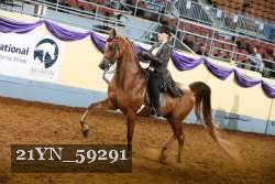 21YN_59291 thumbnail