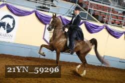 21YN_59296 thumbnail