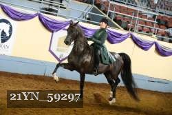 21YN_59297 thumbnail