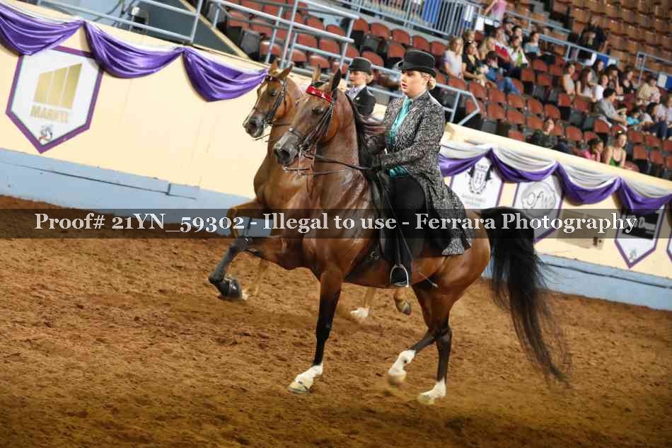 Proof Number 21YN_59302