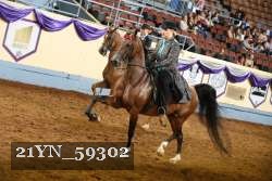 21YN_59302 thumbnail