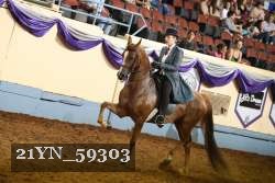 21YN_59303 thumbnail