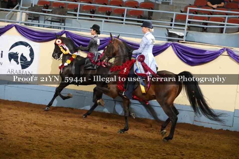 Proof Number 21YN_59441