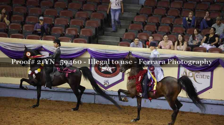 Proof Number 21YN_59460