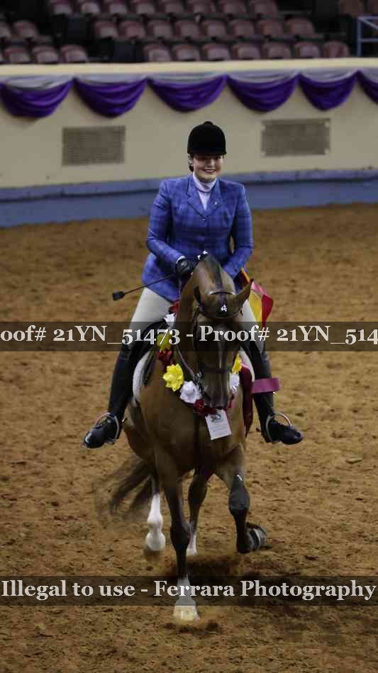 Proof Number 21YN_51473