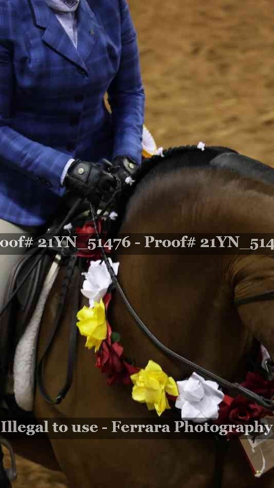 Proof Number 21YN_51476
