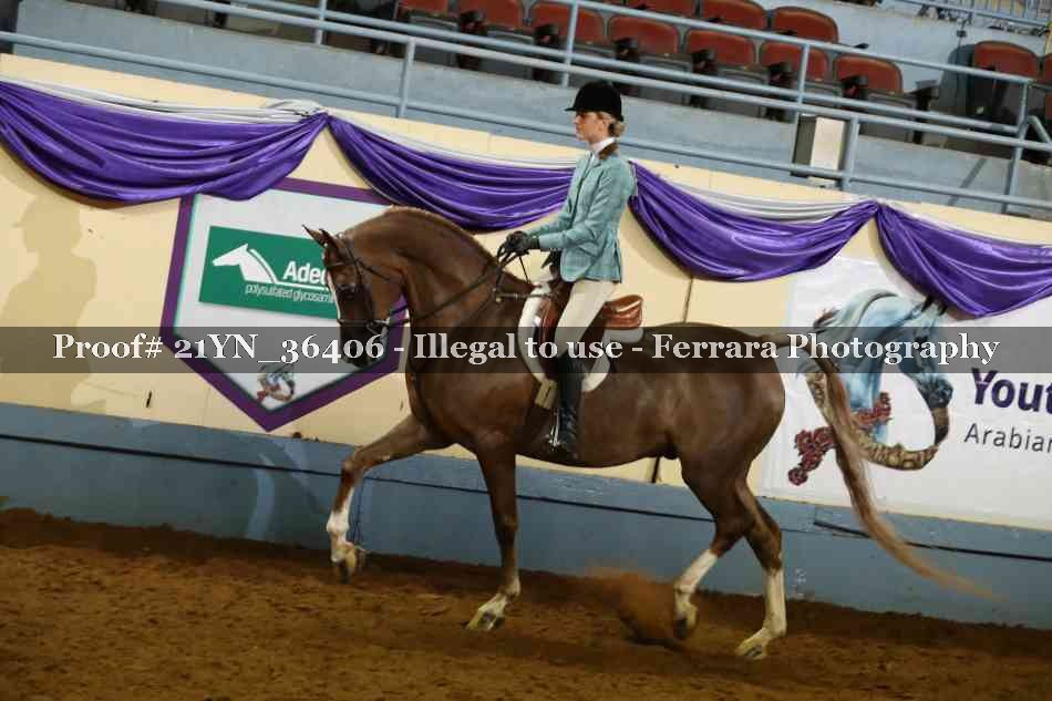 Proof Number 21YN_36406
