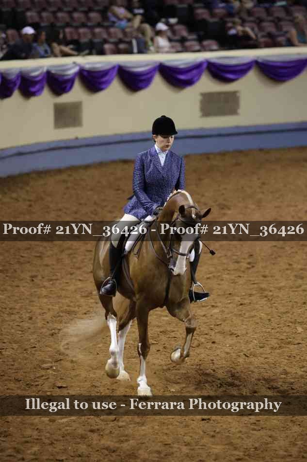 Proof Number 21YN_36426