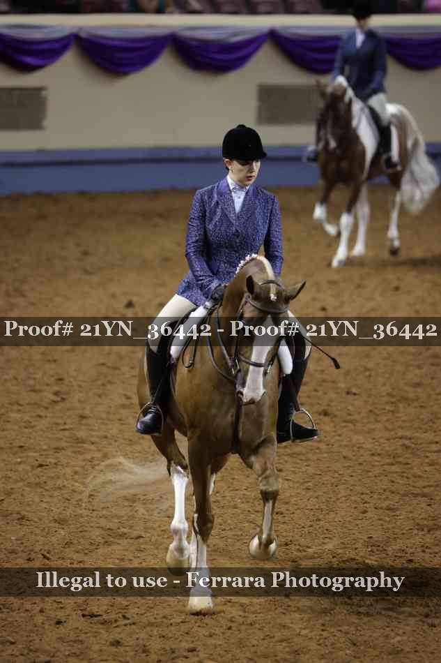 Proof Number 21YN_36442