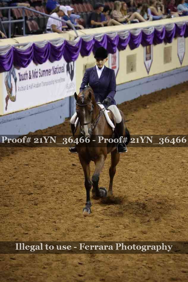 Proof Number 21YN_36466
