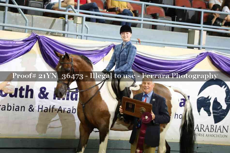 Proof Number 21YN_36473
