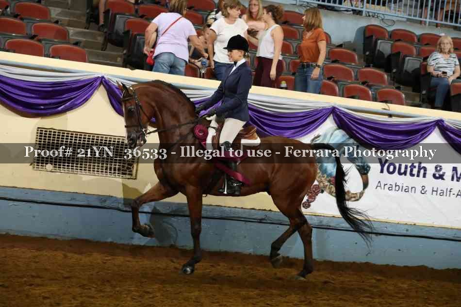Proof Number 21YN_36533